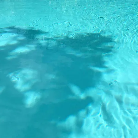 La Palmeraie Penzion Vannes